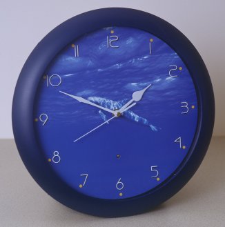 sea nature nature sounds clock picture