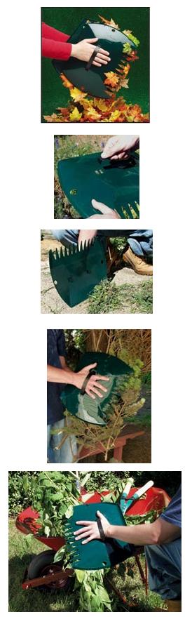 garden hands picture